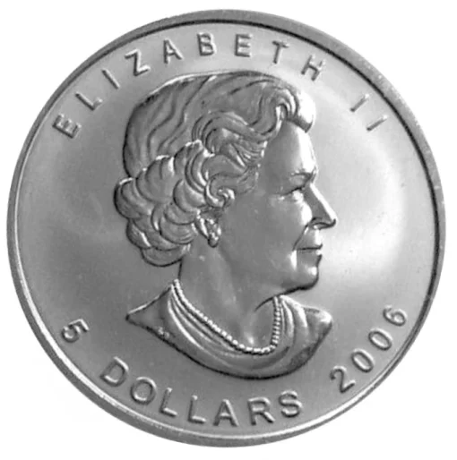 20 x 1 oz Silver Maple Leaf - 2006 - RCM - Vintage Red Tube - Image 3